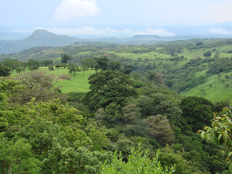 File:A Guanacaste view.jpg