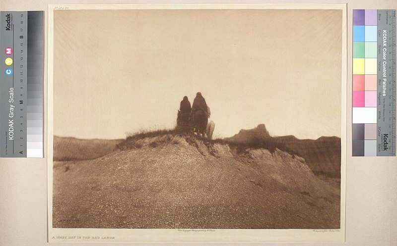 File:A gray day in the badlands (2839631068).jpg