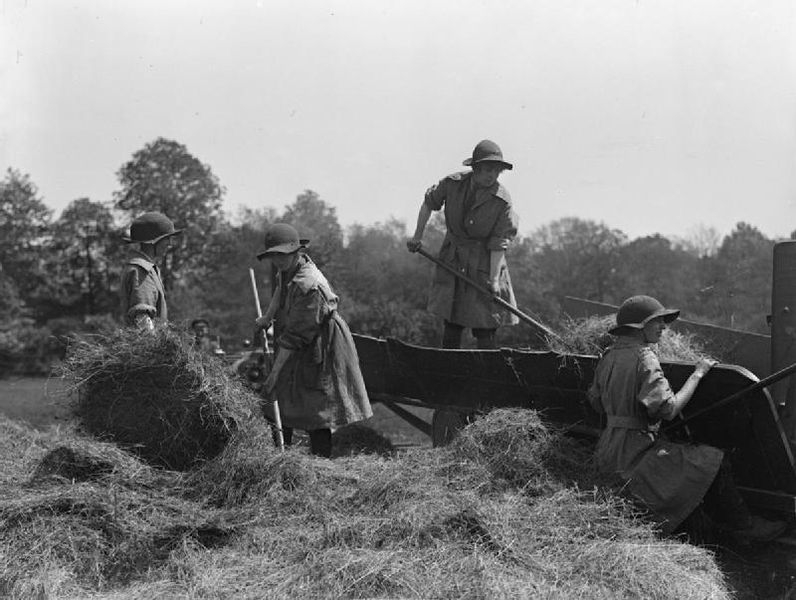 File:Agriculture in Britain during the First World War Q30687.jpg