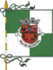Alcoutim municipality flag.png