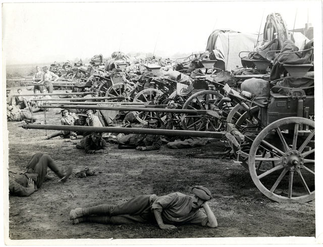 Ammunition column carts of the 20th (Light) Division, Estaires, August 1915