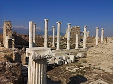 laodicea lycus