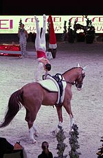 Vorschaubild für Pad (Pferdesport)