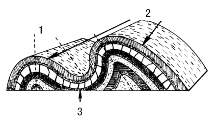 Tập_tin:Anticline_(without_text).png