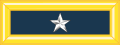ABŞ: Brigadier general (parad forması)