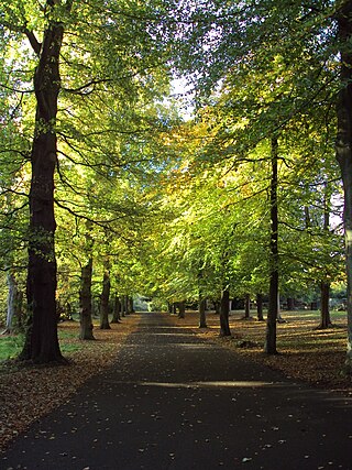 <span class="mw-page-title-main">Arrowe Country Park</span> Country park in Wirral, England