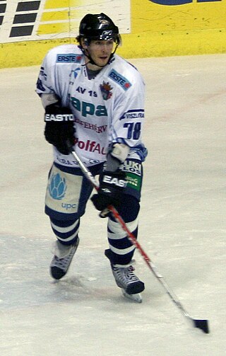 <span class="mw-page-title-main">Artyom Vaszjunyin</span> Ukrainian-Hungarian ice hockey player