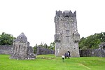 Miniatura para Castillo de Aughnanure