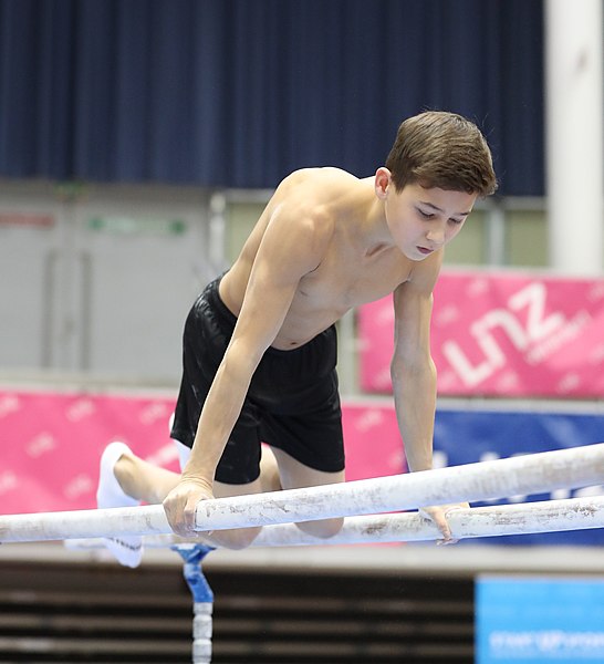 File:Austrian Future Cup 2018-11-23 Training Afternoon Parallel bars (Martin Rulsch) 0610.jpg