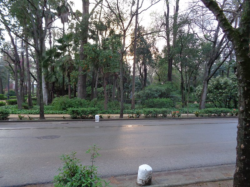 File:Avenida de Pizarro 2.JPG