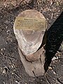 Baby Loss Tree in the Parkland Walk.