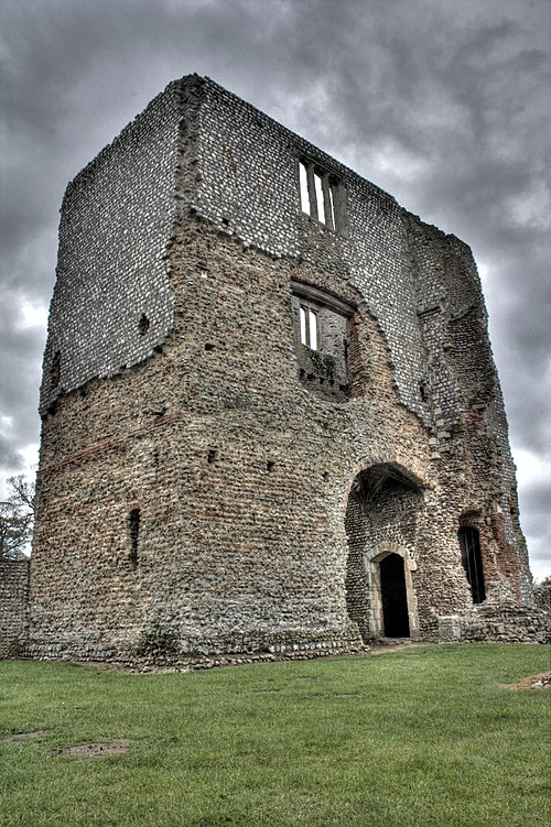 Baconsthorpe Castle from within the ruins.jpg