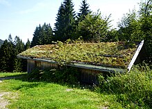 [1] freistehendes Haus mit Gründach