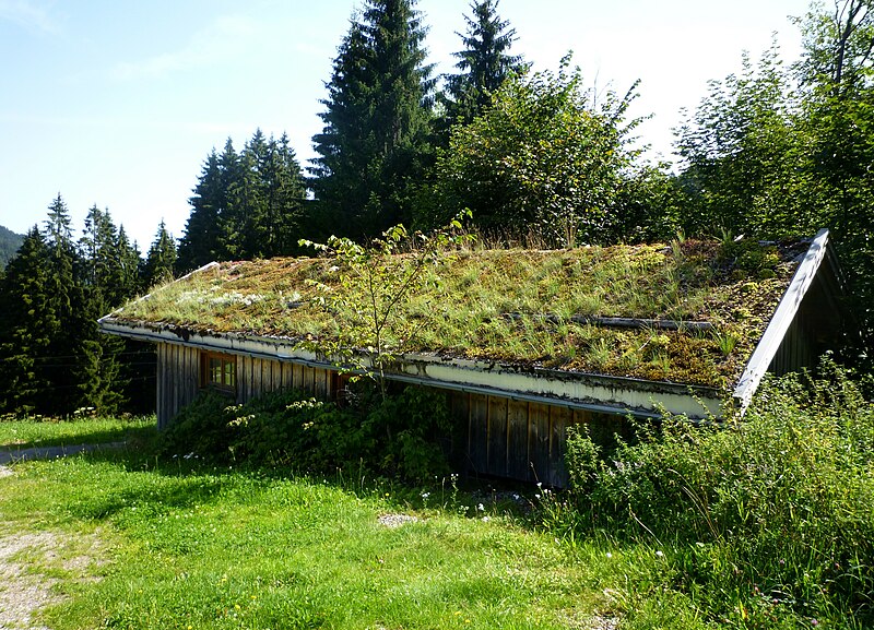 File:Blaichach - Begrüntes Dach des Stadels der Alpe Blässe.JPG