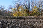 Boston Nature Center