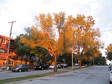 Boulevard Langelier.jpg