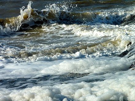 Sea foam usually contains a mixture of decomposed organic materials