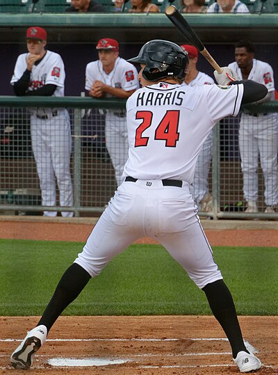 Brett Harris (baseball)