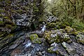 * Nomination Bridal Veil Creek, Arthur's Pass National Park --Podzemnik 02:48, 24 October 2020 (UTC) * Promotion  Support Good quality -- Johann Jaritz 02:54, 24 October 2020 (UTC)