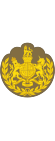 British Army (1920-1953) OR-9b.svg