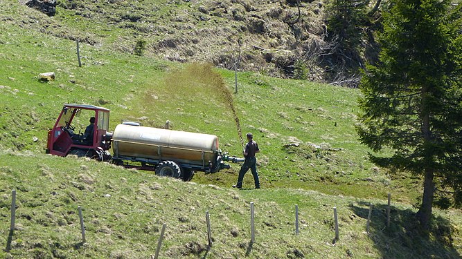 In the Swiss Alps it is common to spread liquid manure on the sometimes very steep hillsides.