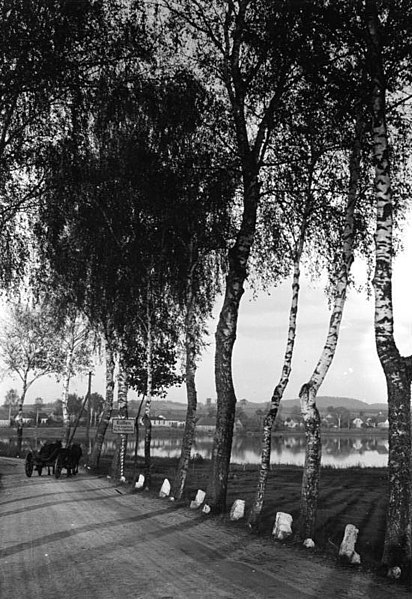 File:Bundesarchiv B 145 Bild-P017323, Ostpreußen, Landschaft bei Kutten.jpg