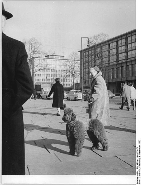 File:Bundesarchiv Bild 183-A1204-0006-001, Chemnitz, Straßenszene.jpg