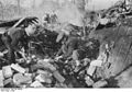 Bundesarchiv Bild 183-H26796, Hamburg, Zerstörungen nach britischem Luftangriff.jpg