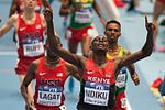 Vignette pour 3 000 mètres masculin aux championnats du monde d'athlétisme en salle 2014