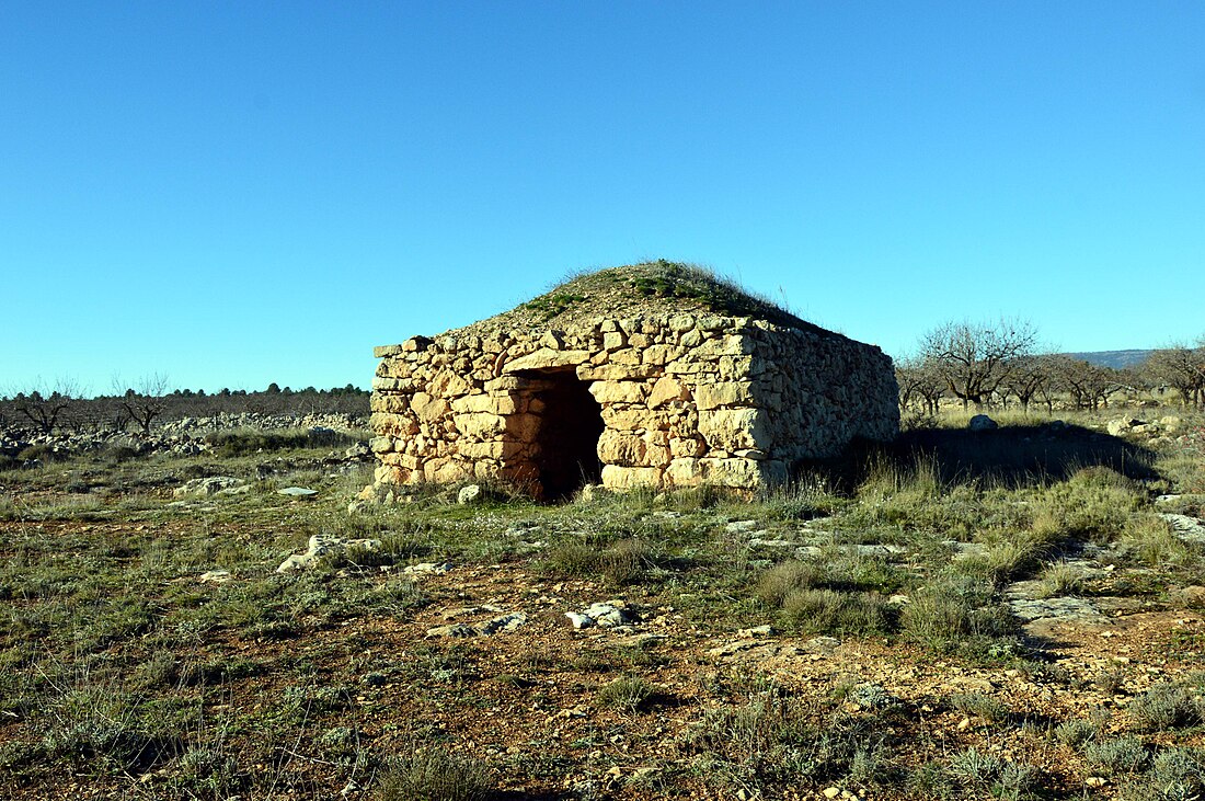 Barraca Grande del Pinar