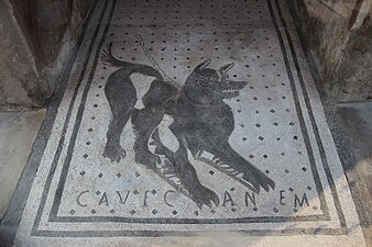 Mozaik "Čuvaj se psa" (lat. Cave Canem)