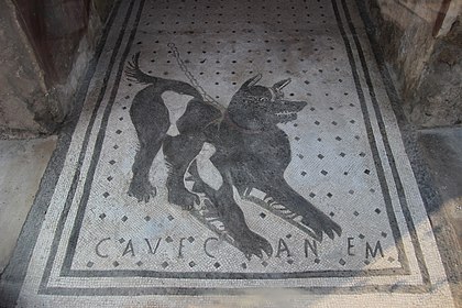 Cave Canem Mosaic