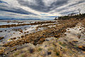 Cemetery Bay, Bruny Island, Tasmania, Australia