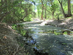 Cienega Creek Pima County Arizona 2014.jpg