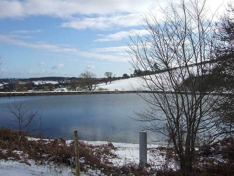 File:Cilcain No 3 Reservoir - geograph.org.uk - 2815763.jpg