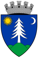 Coa_Romania_Town_Gyergyószentmiklós_2.svg