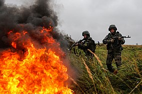 Полк бмп князе волконское