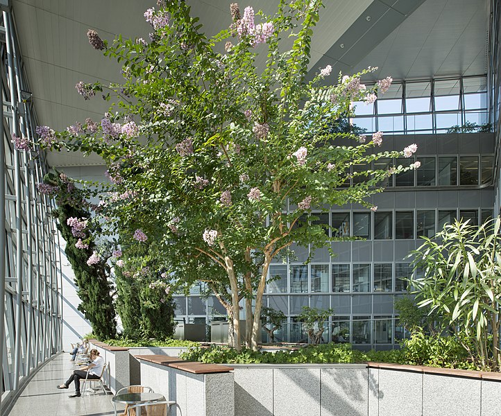 File:Commerzbank Tower Gardens 2012-09-06 04.jpg