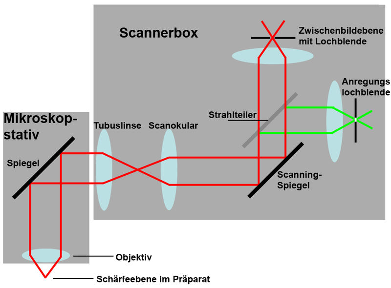 File:Confocal principle real life-deutsch.png