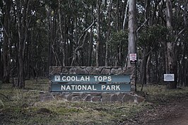 Nationaal park Coolah Tops