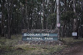 Coolah tops national park.jpg