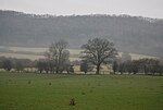 Thumbnail for File:Countryside near Stokesay - geograph.org.uk - 2290615.jpg