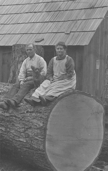 File:Couple sitting on a log near Timber, Oregon (3227033256).jpg