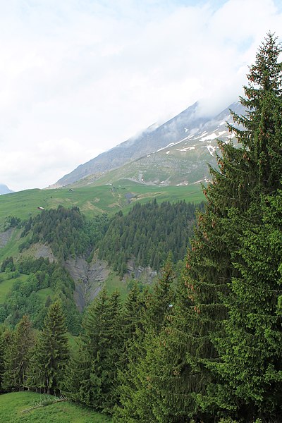 File:Croisé Baulet depuis le Plan - panoramio (42).jpg