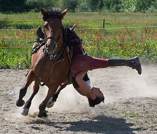 <span class="mw-page-title-main">Trick riding</span>