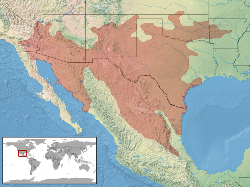 File:Crotalus atrox distribution.png