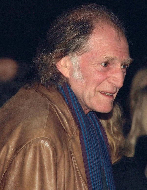 Bradley at the Harry Brown premiere in 2009