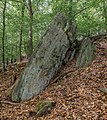 * Nomination Natural monument boulder “Großmutter” west of Deidesheim --F. Riedelio 09:24, 11 May 2021 (UTC) * Promotion  Support Good quality. --Ermell 12:48, 11 May 2021 (UTC)