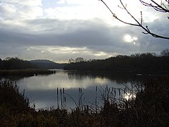 Denaby Ings - geograph.org.uk - 1630649.jpg