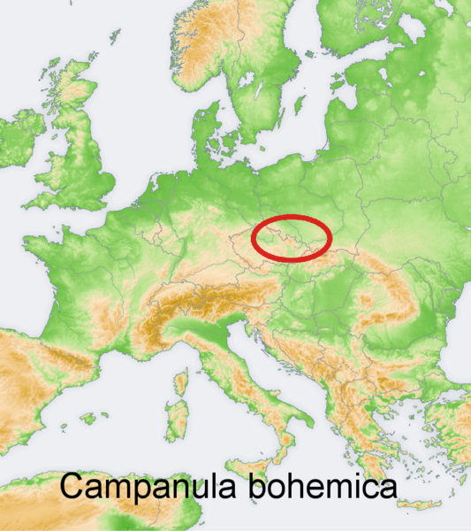 File:Distribution map Campanula bohemica.png